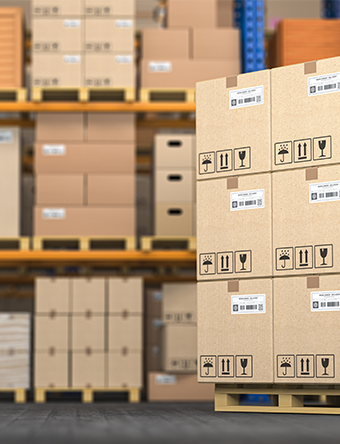 GT-ALMACENAMIENTO-BOXES